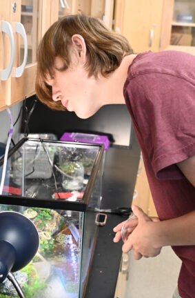A person peering down into an aquarium