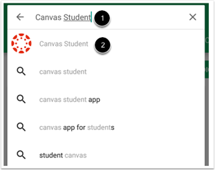 Canvas app search