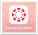 The Canvas app icon