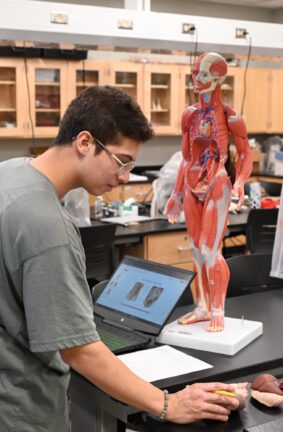 People working in a lab classroom with anatomical models on the tables