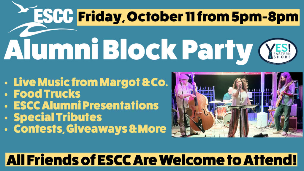 Banner for the alumni block party